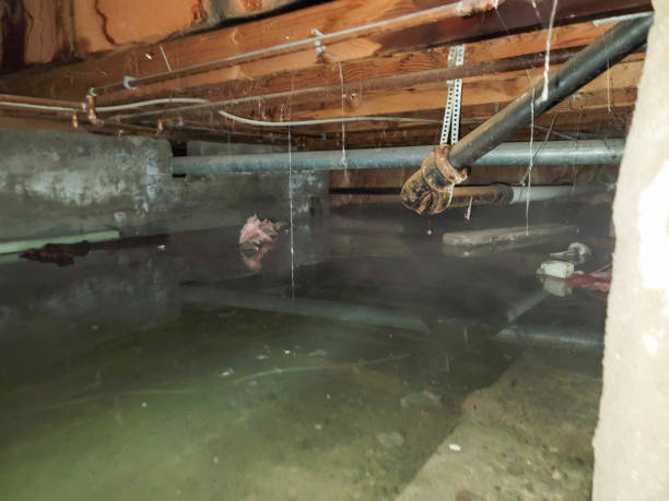 Professional Water damage restoration in Newcastle, WY
