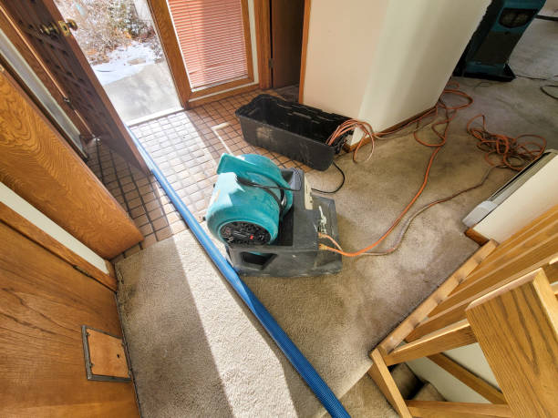 Best Water damage cleanup near me  in Newcastle, WY