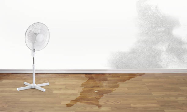 Sewage cleanup and water damage restoration in Newcastle, WY