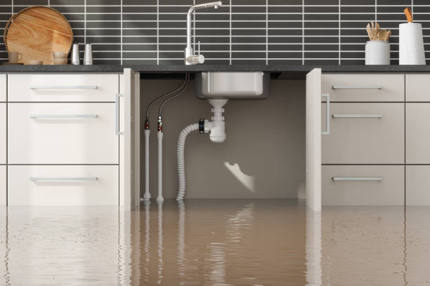 Water damage restoration mold remediation in Newcastle, WY